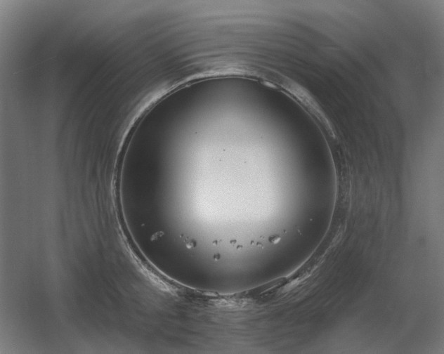 X0000060560805200511031241