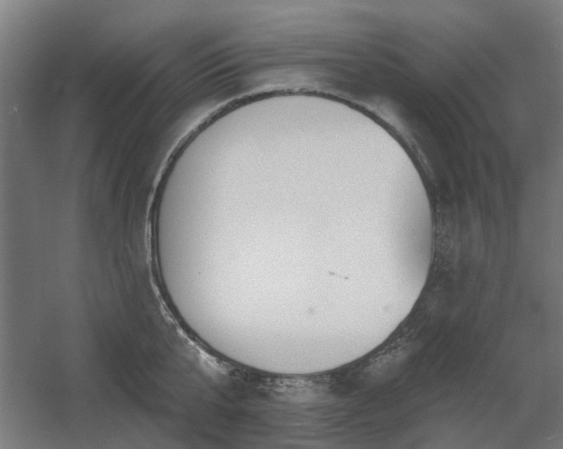 X0000060560807200511031241