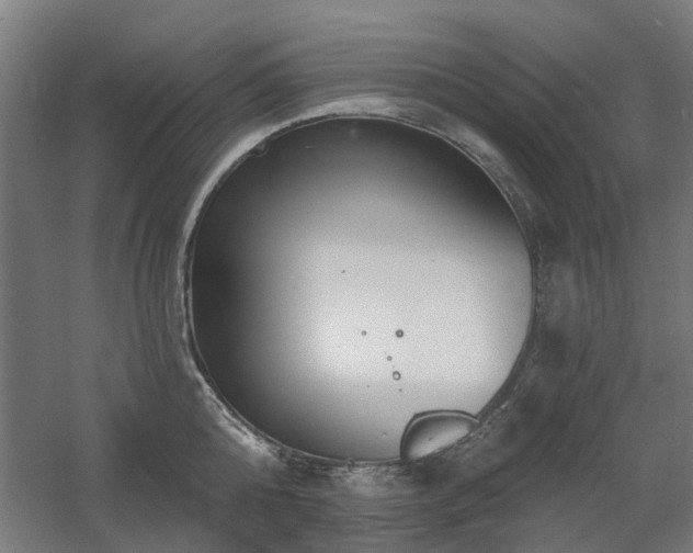 X0000060560808200511031241