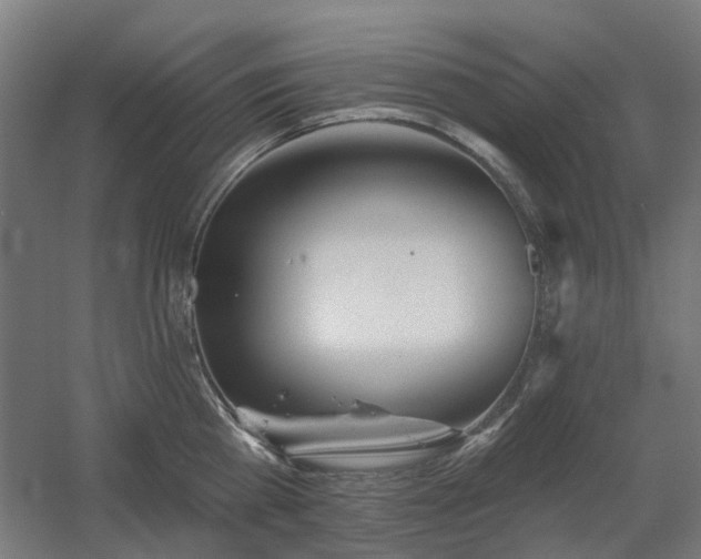 X0000060560809200511031241