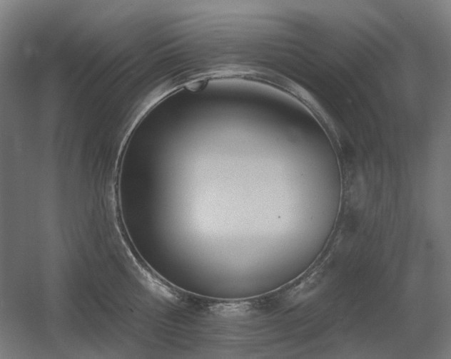 X0000060560810200511031241