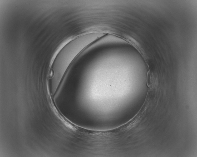 X0000060560812200511031241