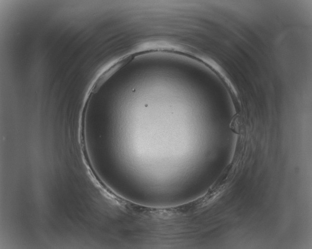 X0000060560815200511031241