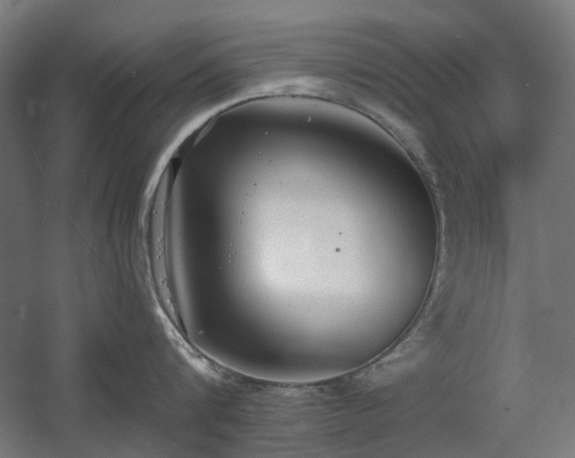 X0000060560816200511031241