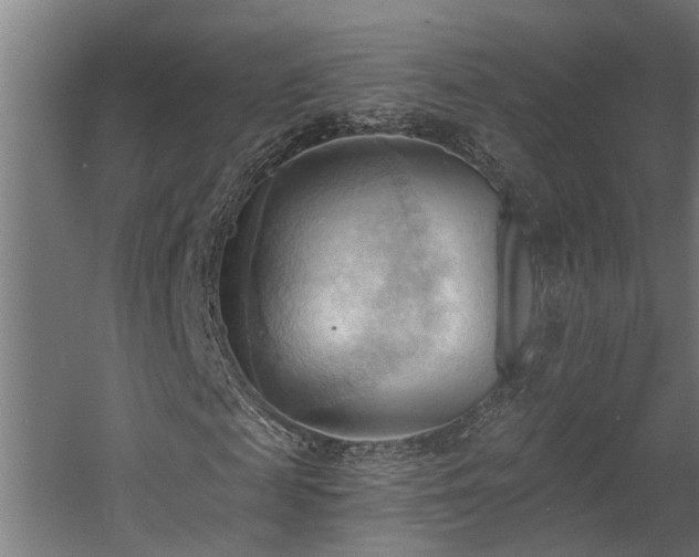 X0000060560817200511031240