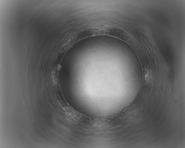 X0000060560819200511031240