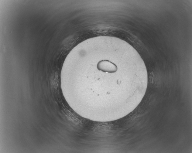 X0000060560820200511031240