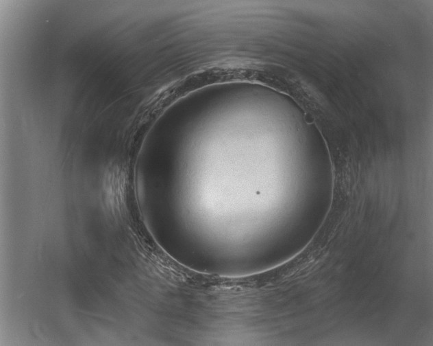 X0000060560821200511031240