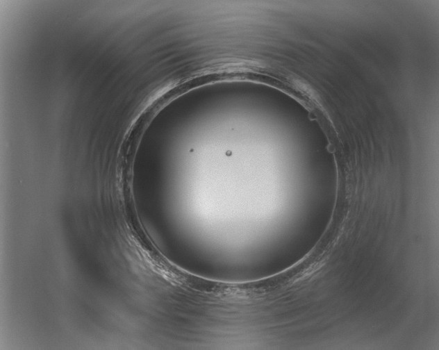 X0000060560827200511031241