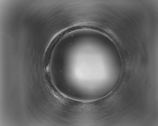 X0000060560830200511031241