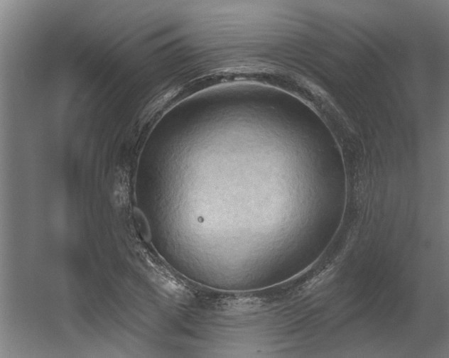 X0000060560833200511031241