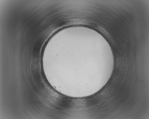 X0000060560836200511031241