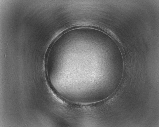 X0000060560839200511031241