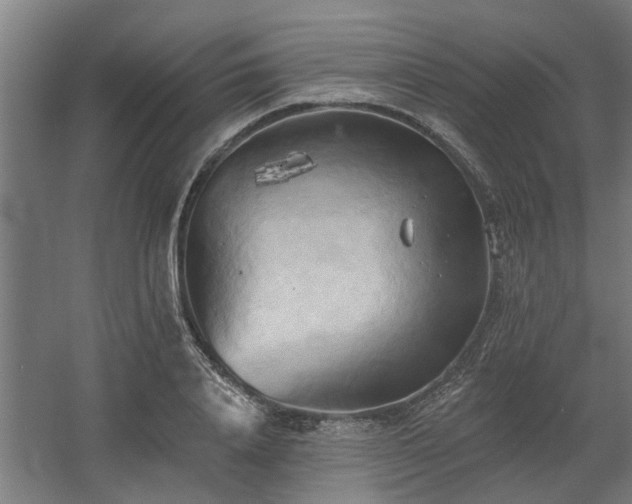 X0000060560840200511031241