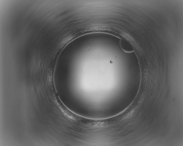 X0000060560841200511031241