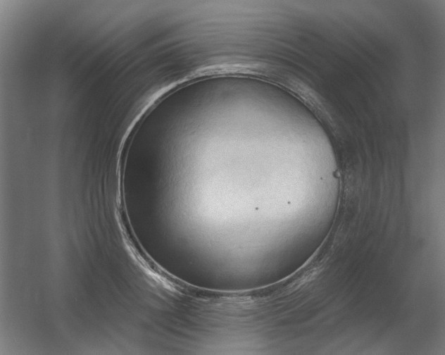 X0000060560844200511031241