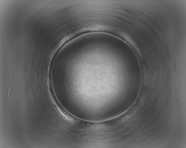 X0000060560845200511031241