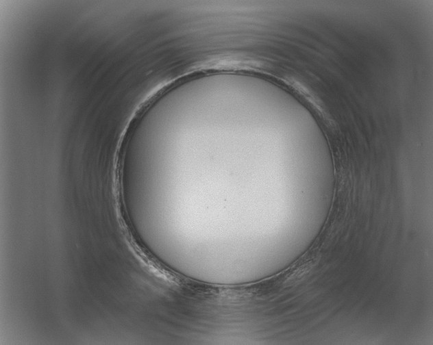 X0000060560848200511031241