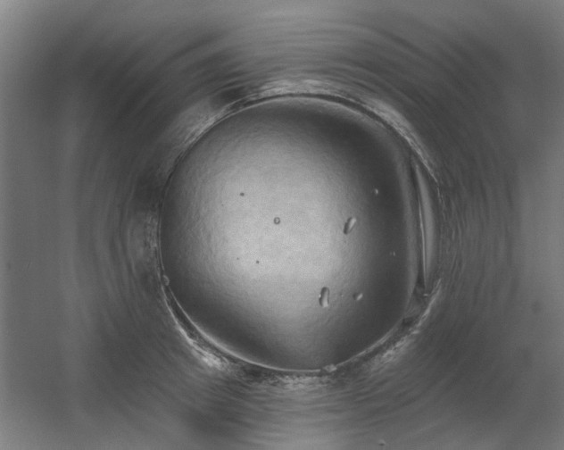 X0000060560849200511031241