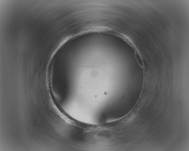 X0000060560851200511031241