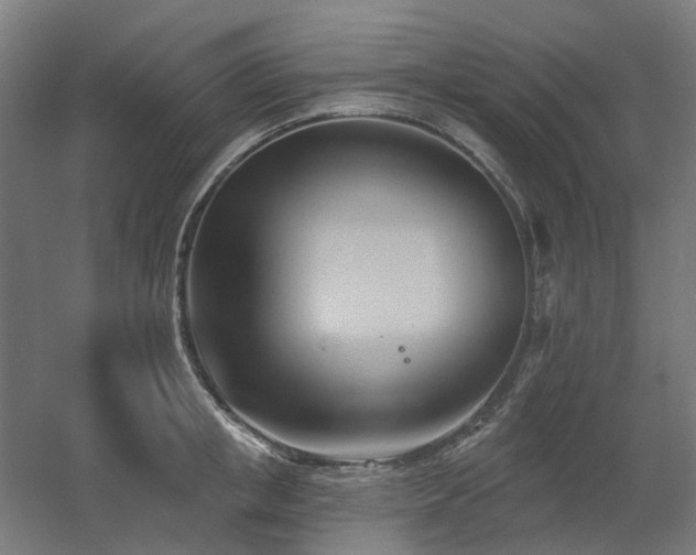 X0000060560853200511031241