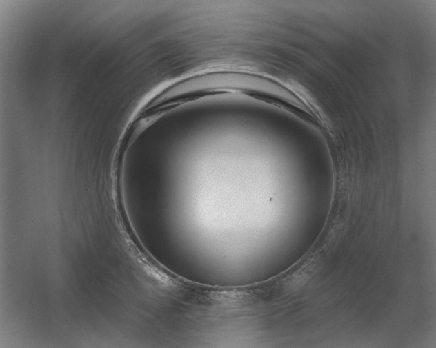 X0000060560854200511031241