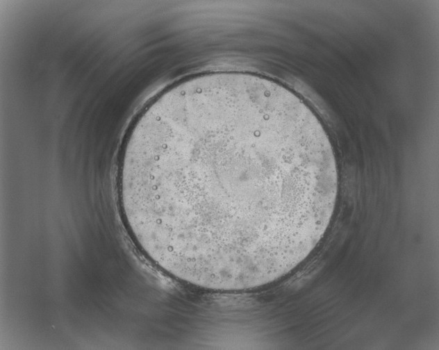 X0000060560856200511031241