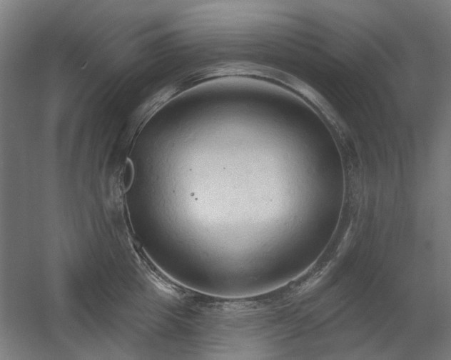 X0000060560857200511031241