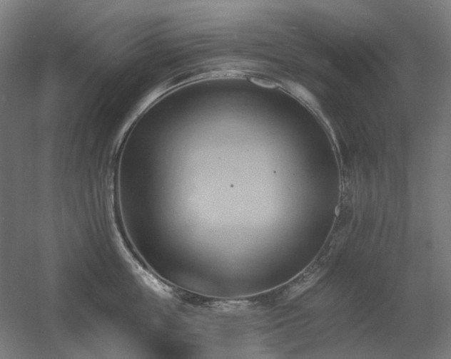 X0000060560859200511031241