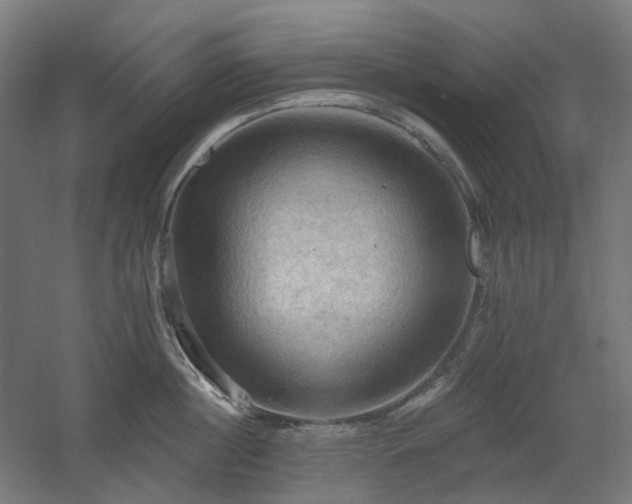 X0000060560860200511031241