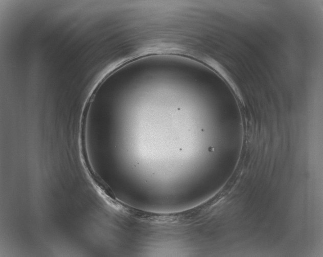 X0000060560861200511031241