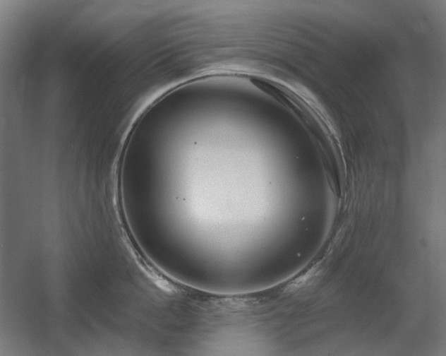 X0000060560862200511031241