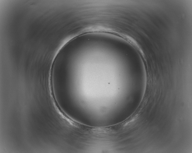 X0000060560863200511031241