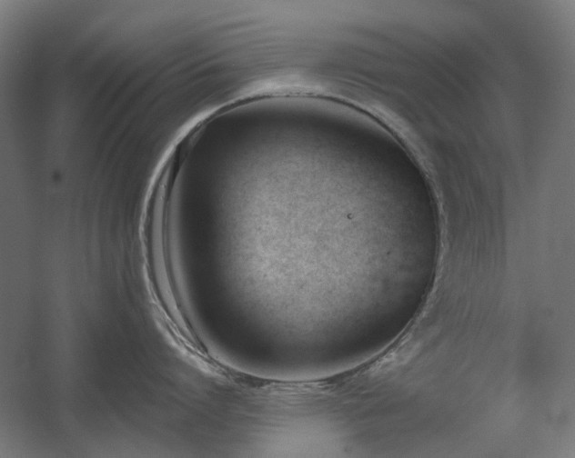 X0000060560864200511031241