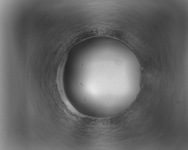 X0000060560865200511031240