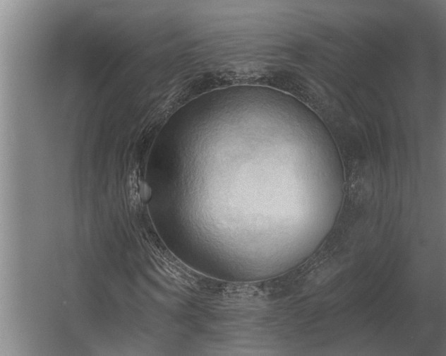 X0000060560866200511031240