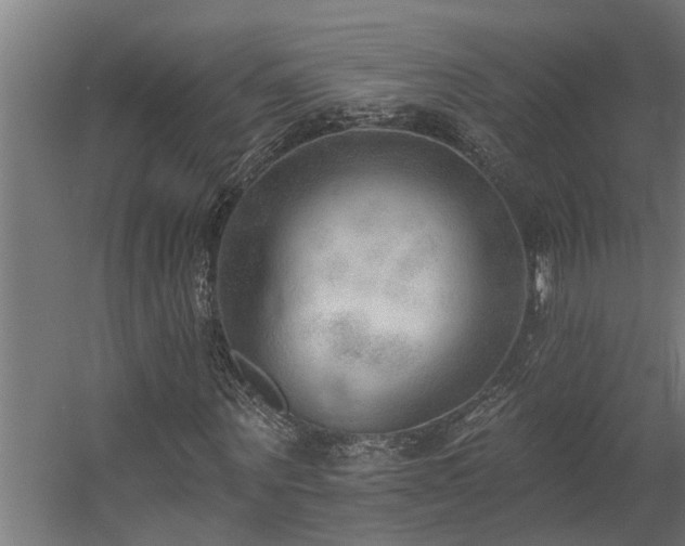 X0000060560867200511031240