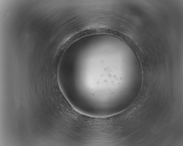 X0000060560871200511031240