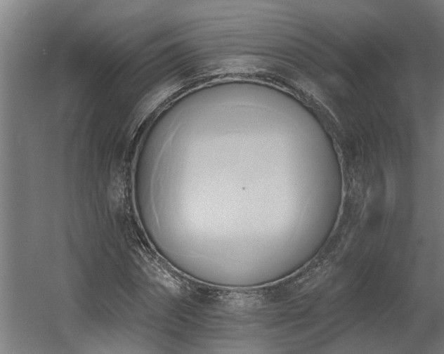 X0000060560874200511031240