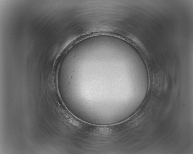 X0000060560878200511031240