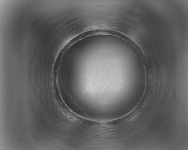 X0000060560879200511031240