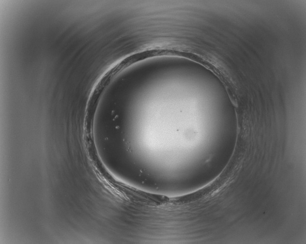 X0000060560880200511031240