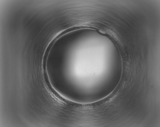 X0000060560884200511031240