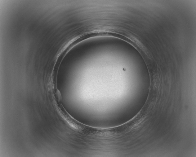 X0000060560885200511031240