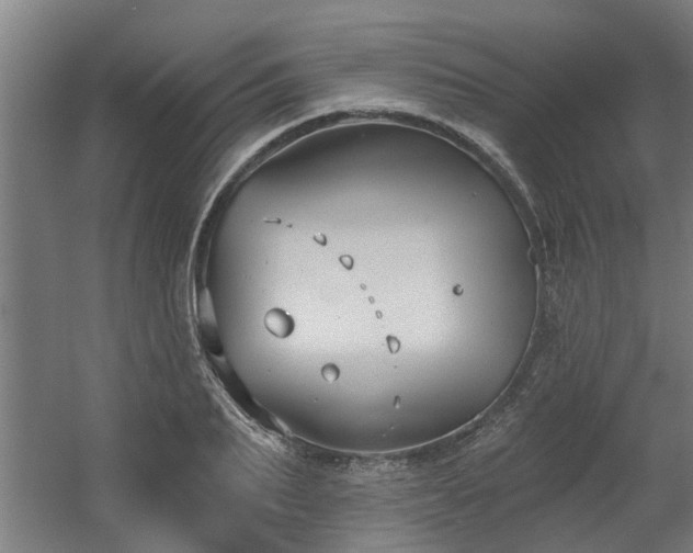 X0000060560887200511031240