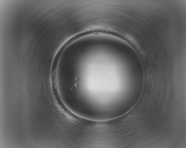 X0000060560888200511031240