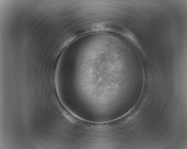 X0000060560889200511031240