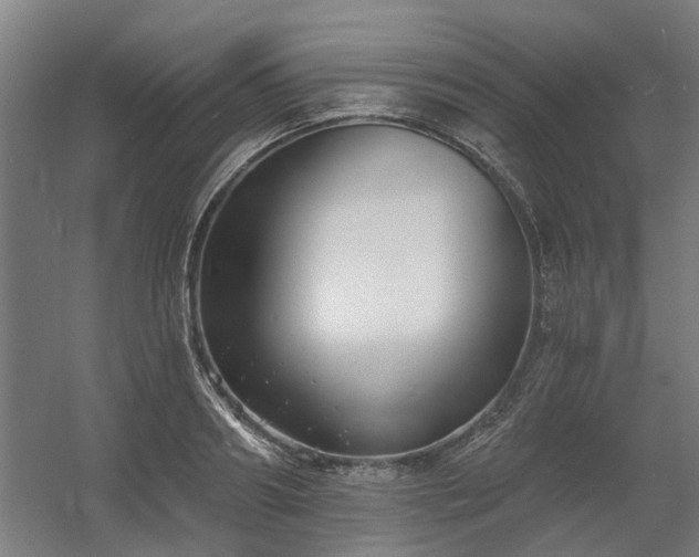 X0000060560890200511031240