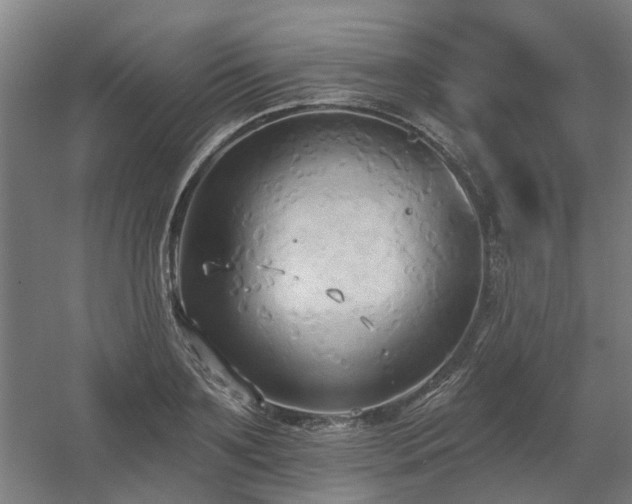 X0000060560891200511031240