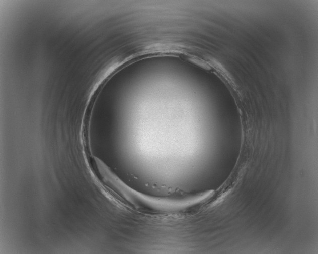 X0000060560893200511031240